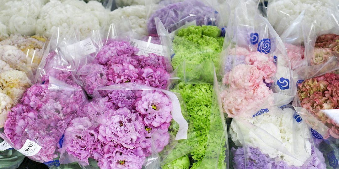 るもい型就農モデル