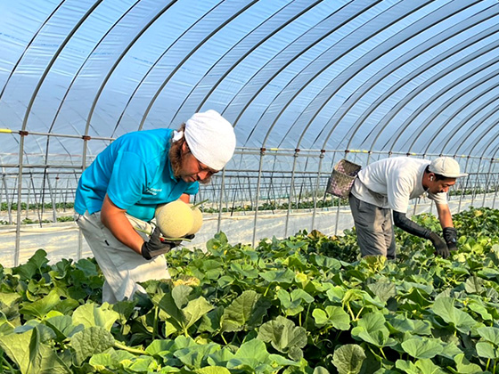 農業をやってみたい